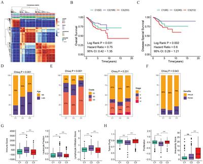 Integrated analysis and experiments uncover the function of disulfidptosis in predicting immunotherapy effectiveness and delineating immune landscapes in uterine corpus endometrial carcinoma